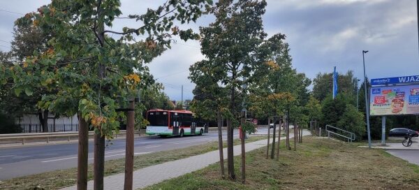 Pas zieleni z drzewami, ścieżka dla pieszych oraz droga, po której jedzie autobus.