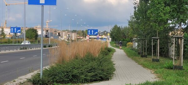 Pas zieleni z nasadzeniami pomiędzy chodnikiem a jezdnią.