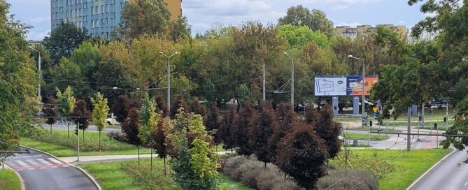 Pas roślinności między dwoma drogami. W tle widoczny wierzowiec.