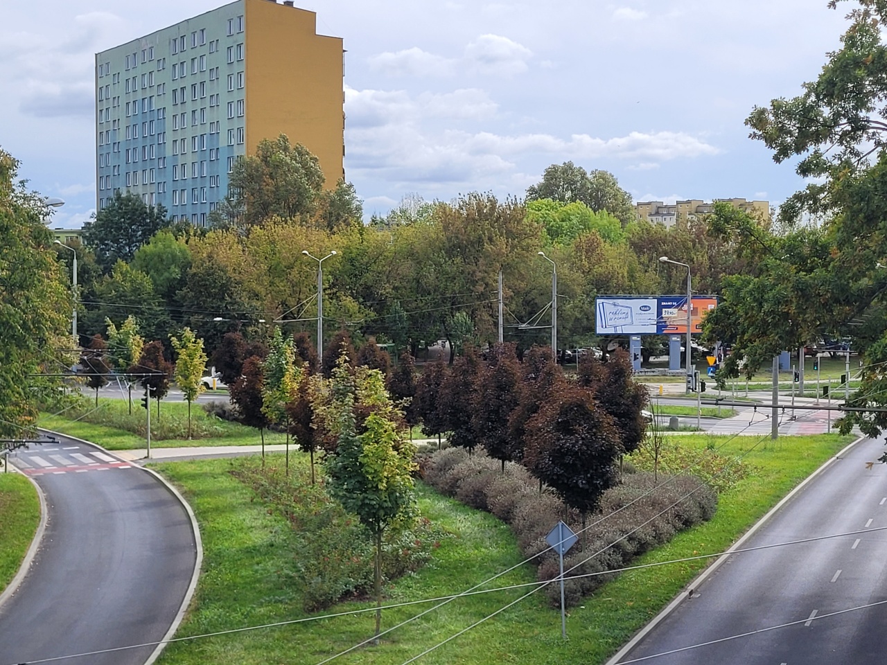 Pas roślinności między dwoma drogami. W tle widoczny wierzowiec.