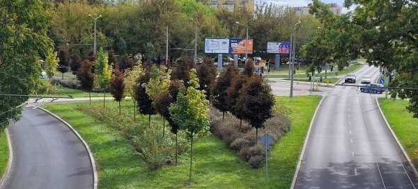 Pas zieleni między dwoma drogami.