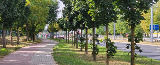 Pas roślinności pomiędzy chodnikiem i ścieżką rowerową a ulicą.