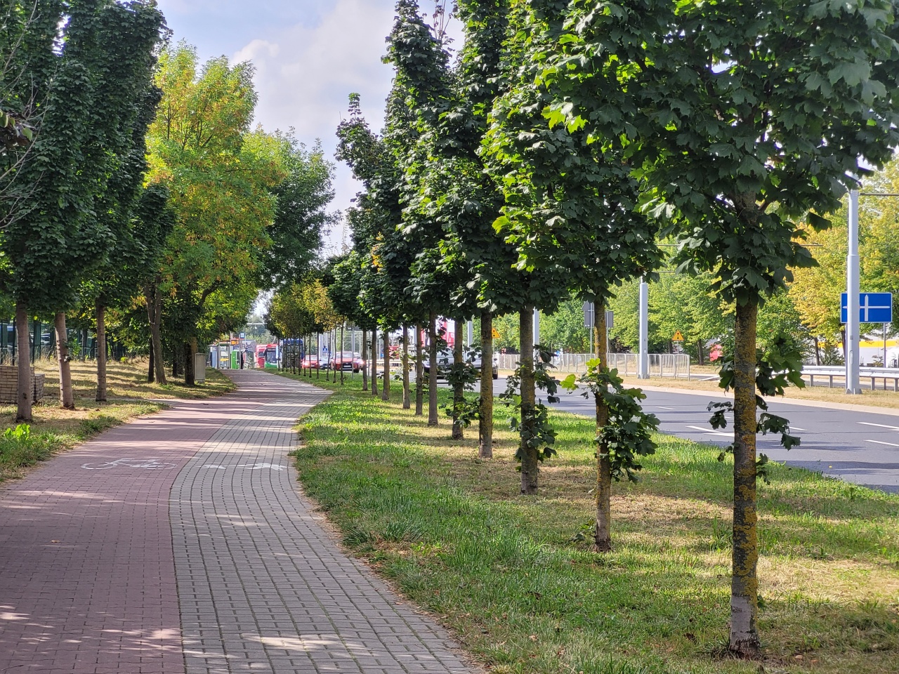 Pas roślinności pomiędzy chodnikiem i ścieżką rowerową a ulicą.
