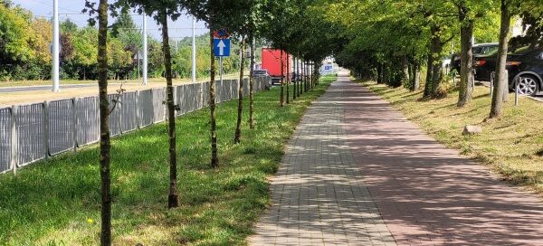 Pas roślinności obok chodnika i ścieżki rowerowej.