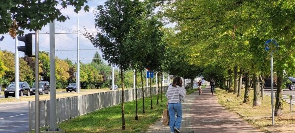Pas roślinności obok chodnika i ścieżki rowerowej.