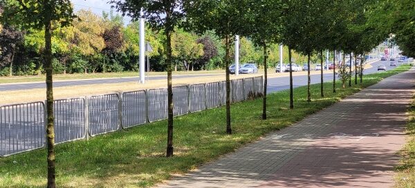 Pas roślinności z barierkami oddzielający chodnik od ulicy.