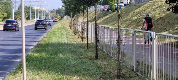 Pas roślinności z barierkami oddzielający chodnik od ulicy.
