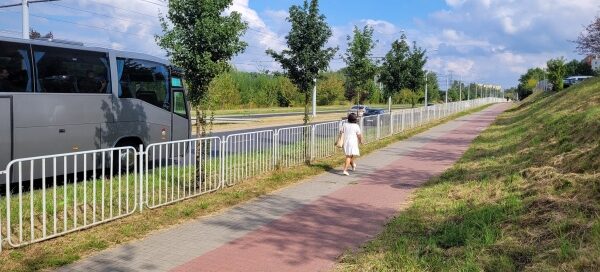 Pas roślinności z barierkami oddzielający chodnik od ulicy.