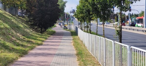 Pas roślinności z barierkami oddzielający chodnik od ulicy.