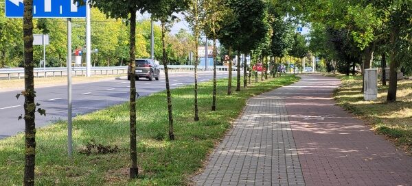 Pas roślinności pomiędzy chodnikiem a ulicą.