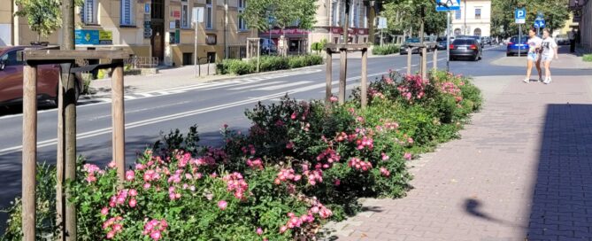 Pas roślinności oddzielający jezdnię od chodnika.