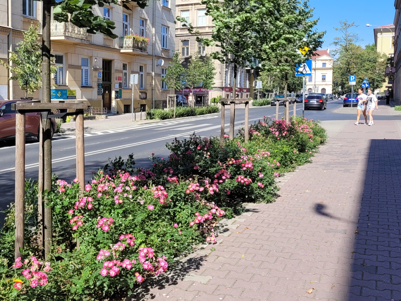 Pas roślinności oddzielający jezdnię od chodnika.