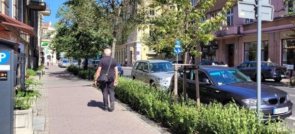 Pas roślinności obok chodnika.