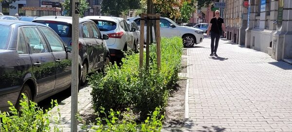 Pas roślinności obok chodnika.