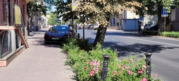 Pas roślinności obok chodnika.