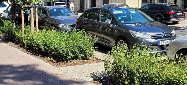 Pas roślinności oddzielający jezdnię od chodnika.