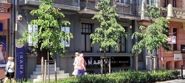 Krzewy i drzewa oddzielające jezdnię od chodnika. W tle widoczna kamienica.