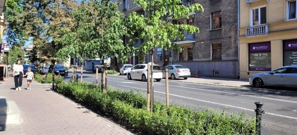 Pas roślinności oddzielający chodnik od jezdni.