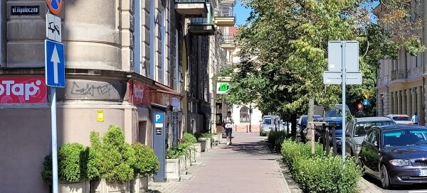 Żywopłot i drzewa obok chodnika.