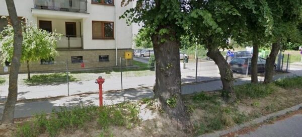 Roślinność pomiędzy chodnikem a ulicą.