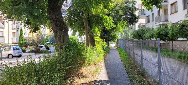 Roślinność i barierki oddzielające chodnik.