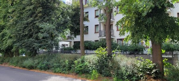 Roślinność obok ulicy. W tle widoczny blok.