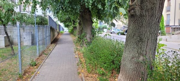 Roślinność i barierki oddzielające chodnik.