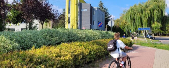 Nasadzenia obok ścieżki rowerowej.