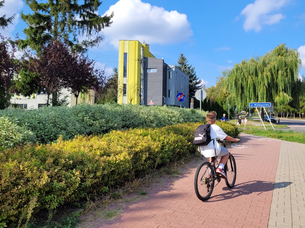 Nasadzenia obok ścieżki rowerowej.