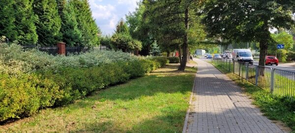 Pas roślinności obok chodnika.