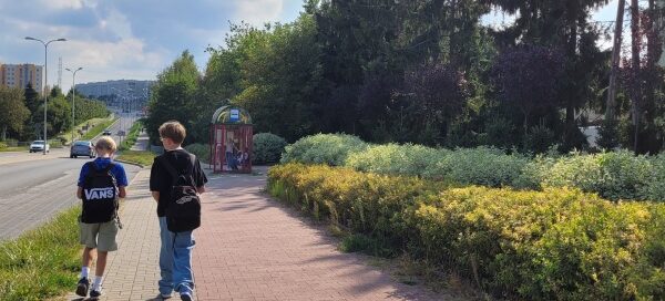 Nasadzenia obok ścieżki rowerowej i chodnika.