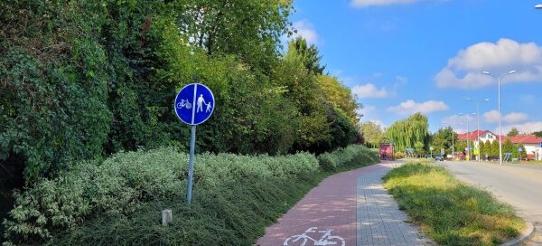 Roślinność obok ścieżki rowerowej i chodnika.