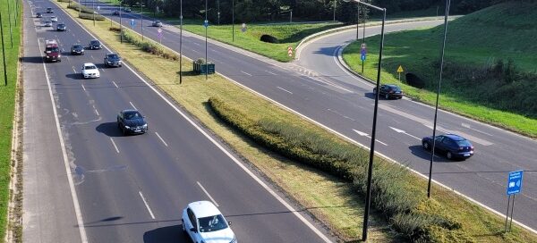 Pas zieleni pomiędzy dwoma ulicami.