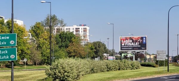 Pas zieleni z nasadzeniami obok ulicy.