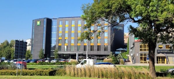 Jezdnia, pas zieleni. W tle widoczny budynek.