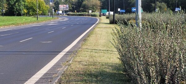 Pas zieleni przy jezdni.