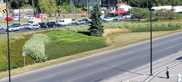 Jezdnia i pas zieleni.