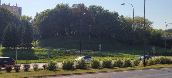 Pas zieleni obok jezdni.