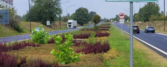 Pas roślinności pomiędzy dwiema ulicami.
