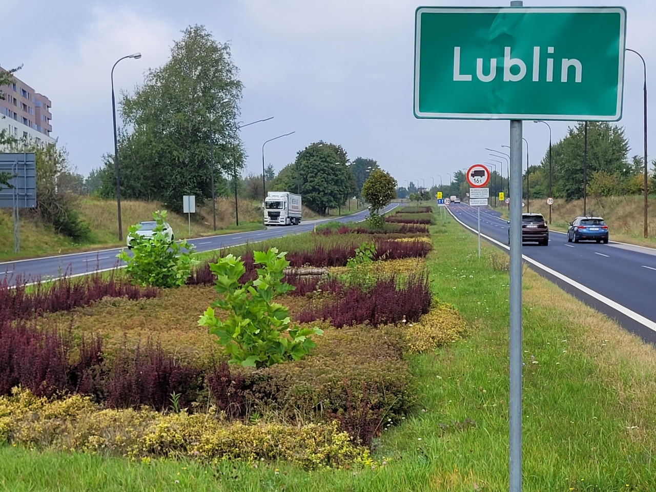 Pas roślinności pomiędzy dwiema ulicami.