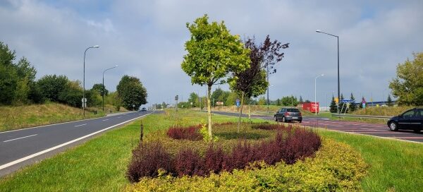 Pas roślinności pomiędzy dwiema ulicami.