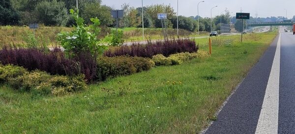 Pas roślinności pomiędzy dwiema ulicami.