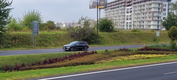 Pas roślinności pomiędzy dwiema ulicami. W tle widoczny budynek.