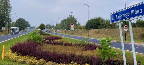 Pas roślinności pomiędzy dwiema ulicami.