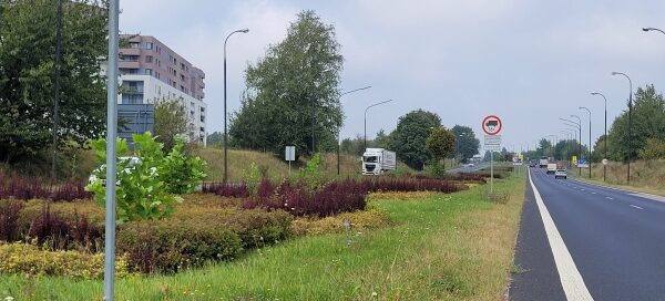 Pas roślinności pomiędzy dwiema ulicami.