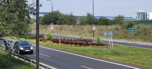 Pas roślinności pomiędzy dwiema ulicami.