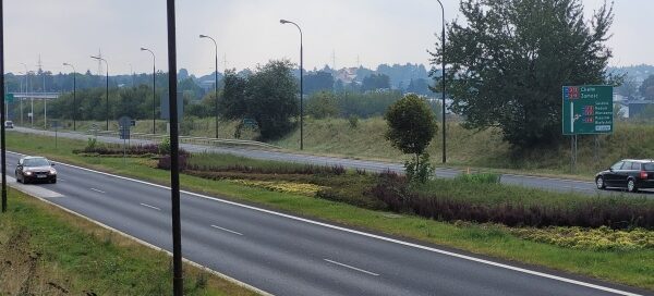 Pas roślinności pomiędzy dwiema ulicami.