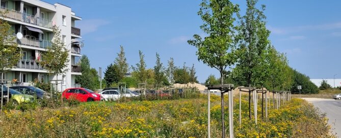 Teren zielony z nasadzeniami drzew. W tle widoczny blok.