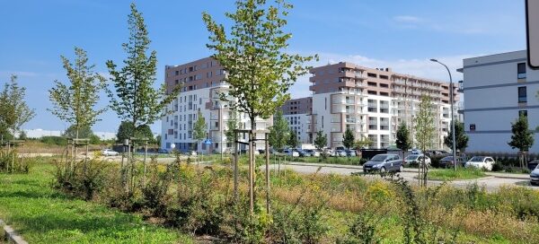 Teren zielony z nasadzeniami drzew. W tle widoczny blok.