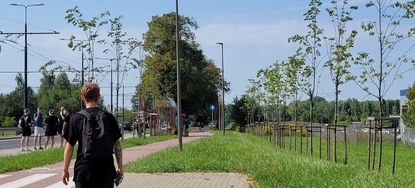 Teren trawiasty z nasadzeniami drzew, obok ścieżki rowerowej i chodnika.